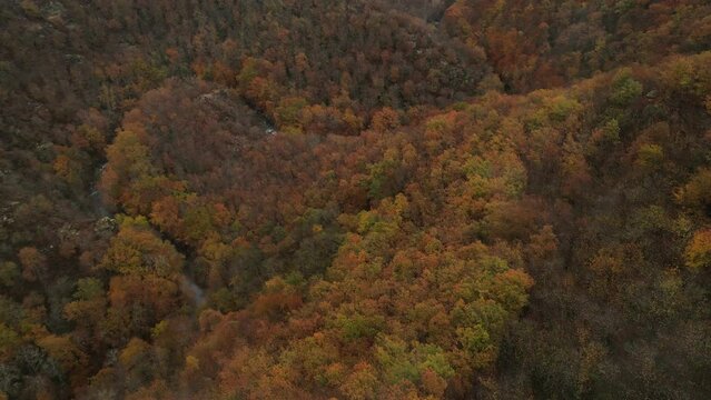 Fly over colorful autumn landscape over the hills of Aveyron