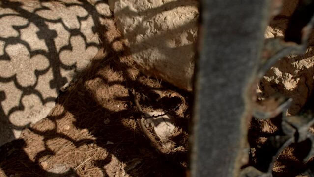 Shadows on the sunlit stone stairs from an intricately carved beautiful fence symbolize abstract or hidden beauty that is not always evident on the surface.