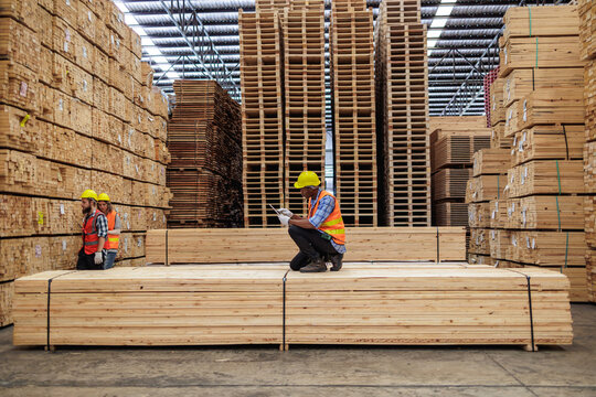 Efficient Workflow, Timber Yard Workers Measuring and Verifying Stock