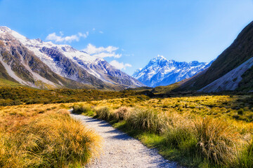 NZ Mt Cook grass track peak