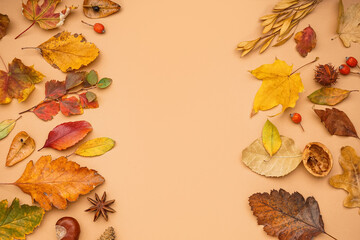 Beautiful autumn composition on beige background