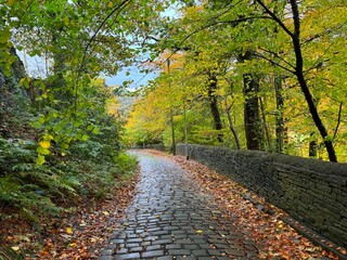 Obraz premium Autumn colours, at the lower end of, Staups Lane, with old trees, fallen leaves and stone walls in, Stump Cross, Halifax, UK