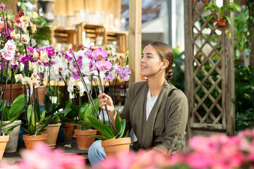 Girl customer-onlooker curiously examines showcase exhibition with indoor orchid. Owner of offline...