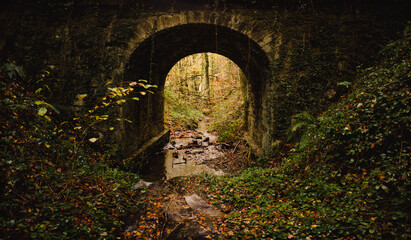 Old bridge with stream in late fall forest