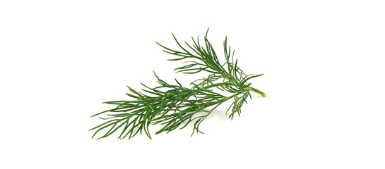 Fresh dill, isolated on white background.