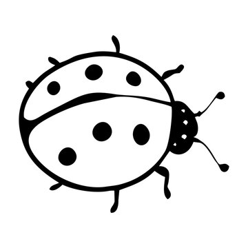 Ladybug simple drawing. Vector illustration