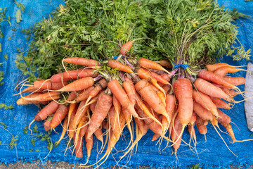 Fresh carrots for sale at an outdoor market.
