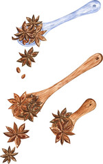 Set of wooden spoons of the star anise spice, watercolor illustration. For cookbooks, stickers, kitchen decor