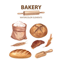 Bread, wheat flour, croissant and kitchen tool roller, scoop. Buns, baguettes, pastries and other baked. Concept for a bakery or cafe. Watercolor hand-drawn illustration isolated on white background.