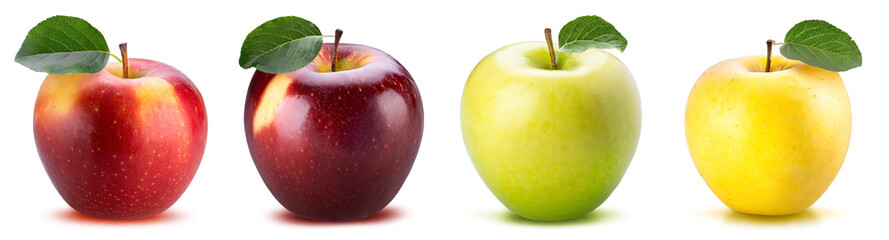 A set of four apples of different colors and different varieties isolated on a white background.