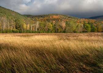 Obraz premium Autumn Field Near Keene NY