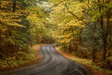 Fototapeta na wymiar road in autumn forest