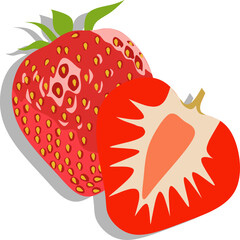 strawberry fruit illustration vector design