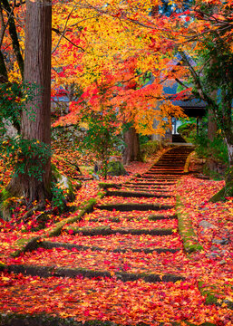 秋の京都 龍穏寺(京都府南丹市園部町)