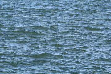 Ripples of water on top of the ocean surface