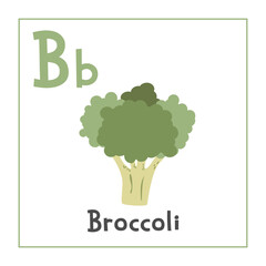 Broccoli clipart. Broccoli vector illustration cartoon flat style. Vegetables start with letter B. Vegetable alphabet card. Learning letter B card. Kids education. Cute broccoli vector design