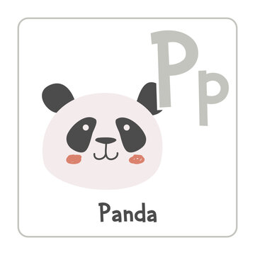 Panda clipart. Panda vector illustration cartoon flat style. Animals start with letter P. Animal alphabet card. Learning letter P card. Kids education. Cute panda bear vector design