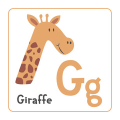 Giraffe clipart. Giraffe vector illustration cartoon flat style. Animals start with letter G. Animal alphabet card. Learning letter G card. Kids education. Cute giraffe vector design