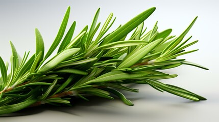 Fototapeta premium Fresh rosemary twig on a white background. Close up.