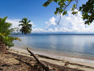 Starfish Beach in Bocas del Toro, Panama