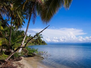 Starfish Beach in Bocas del Toro, Panama