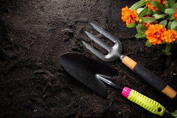Gardening tools for decorate flower