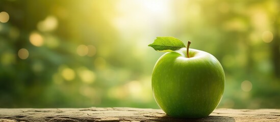 In the lush embrace of nature's bountiful greenery, a fresh round apple slice beckons to those seeking health and nourishment through natural, nutritious foods bursting with vitamins - a delightful