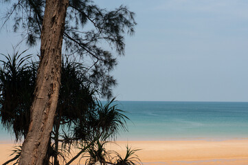 The beach of Thailand.