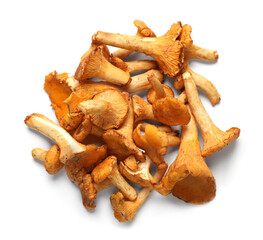 Fresh chanterelle mushrooms isolated on white, top view