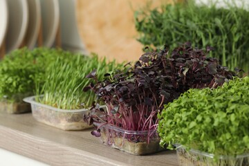 Different fresh microgreens in plastic containers on countertop in kitchen
