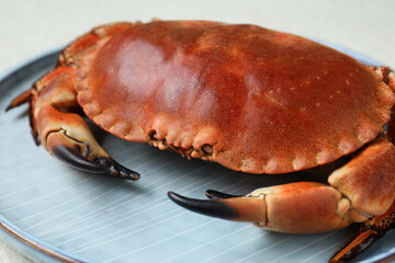 Delicious boiled crab on plate, closeup view