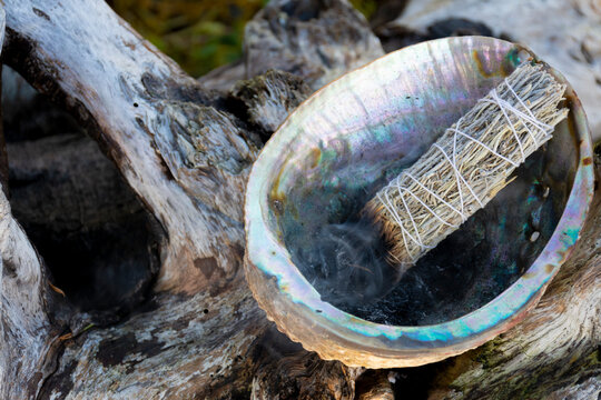 An image of smoke wisps rising up from a smoldering white sage smudge stick in an abalone shell with a driftwood background.