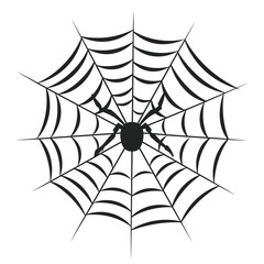 Obraz premium A cobweb vector isolated on a White background, A Spider web silhouette