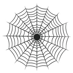 A cobweb vector isolated on a White background, A Spider web silhouette