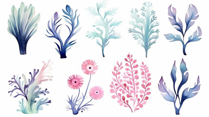 watercolor isolated object drawing blue and pink algae and corals on a white background - obrazy, fototapety, plakaty