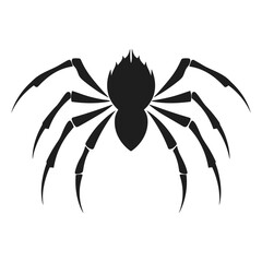 Cobweb Vector isolated on a White background, Spider and web silhouette