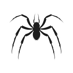 Cobweb Vector isolated on a White background, Spider and web silhouette
