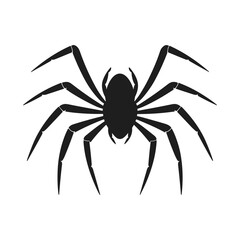 Cobweb Vector isolated on a White background, Spider and web silhouette