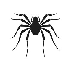 Cobweb Vector isolated on a White background, Spider and web silhouette