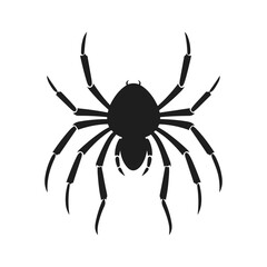 Cobweb Vector isolated on a White background, Spider and web silhouette