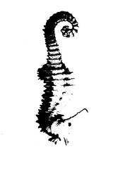 black silhouette of seahouse isolate on white background