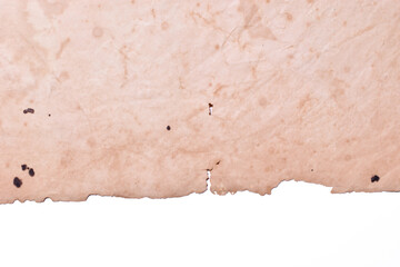 old vintage brown paper on white background, page for texture design