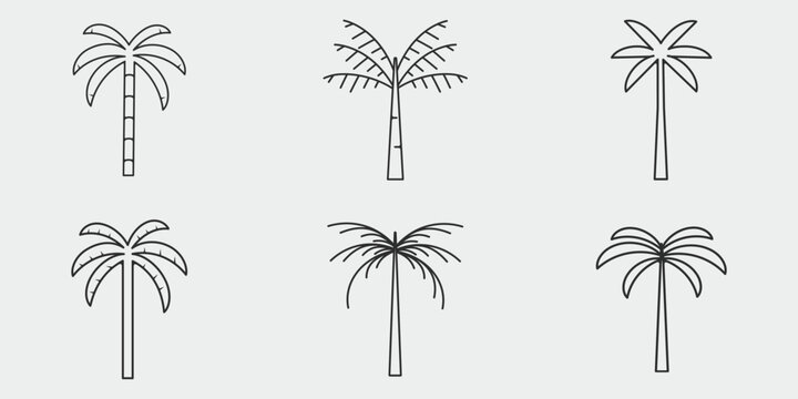 set of icon palm tree logo line art vintage vector illustration template icon graphic design