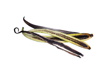 Vanilla pod isolated on white background.