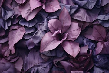 Lavender petals densely packed, offering a lush floral texture suitable for beauty and romance themed projects.