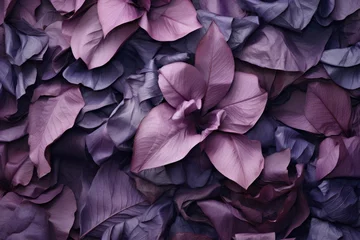 Fotobehang Lavender petals densely packed, offering a lush floral texture suitable for beauty and romance themed projects. © StockWorld