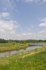 Pylypow Wetlands in the Summer