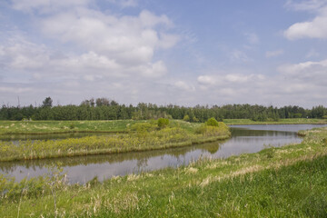 Pylypow Wetlands in the Summer
