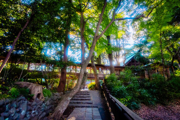【神奈川】報徳二宮神社周辺