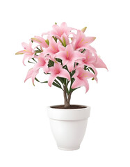 Naklejka na ściany i meble Blush Blossoms: Pink Lilies in White Pot - Transparent Background Photo